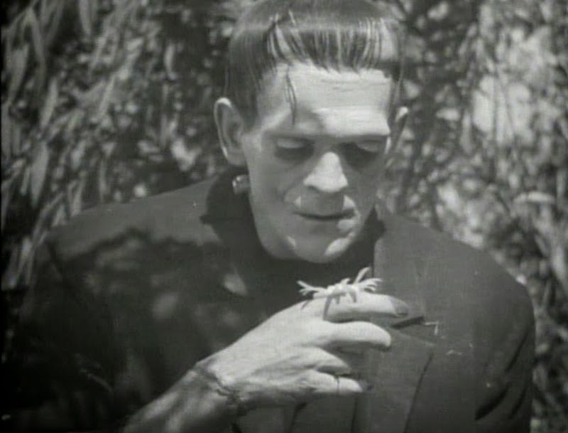 An Analysis of the Monster, Frankenstein: The Misunderstood Mishap